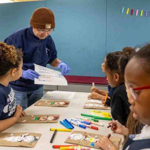 BCS_International_Day-50_original